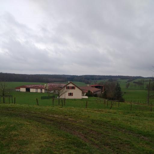  Farm in France - dairy farm for sale/rent, Ref D01